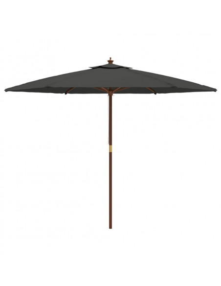 Ombrellone da Giardino con Palo in Legno Antracite 299x240 cm