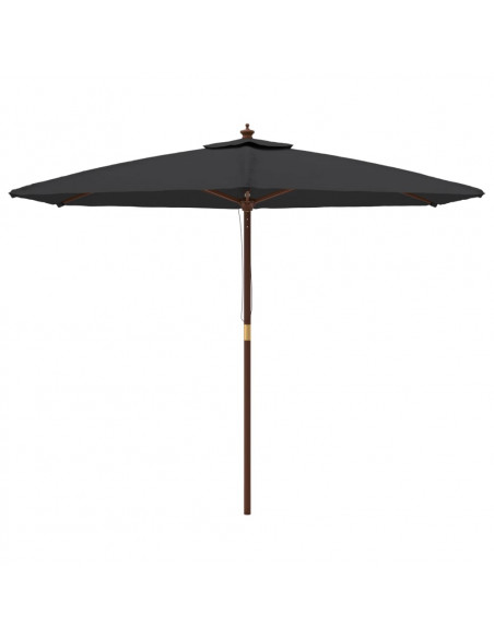 Ombrellone da Giardino con Palo in Legno Nero 299x240 cm