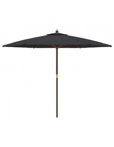 Ombrellone da Giardino con Palo in Legno Nero 299x240 cm