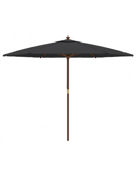 Ombrellone da Giardino con Palo in Legno Nero 299x240 cm