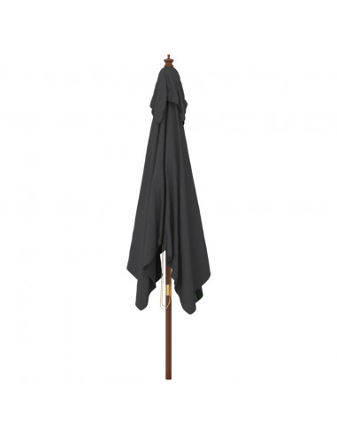 Ombrellone da Giardino con Palo in Legno Nero 300x300x273 cm