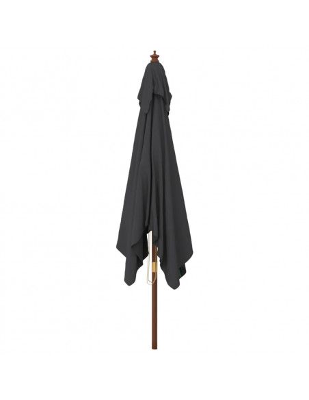 Ombrellone da Giardino con Palo in Legno Nero 300x300x273 cm