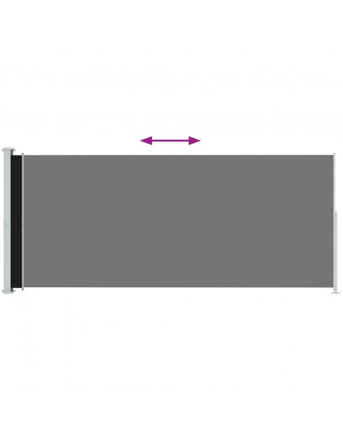 Tenda Laterale Retrattile per Patio 220x500 cm Nera