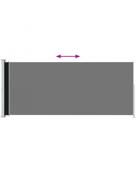 Tenda Laterale Retrattile per Patio 220x500 cm Nera