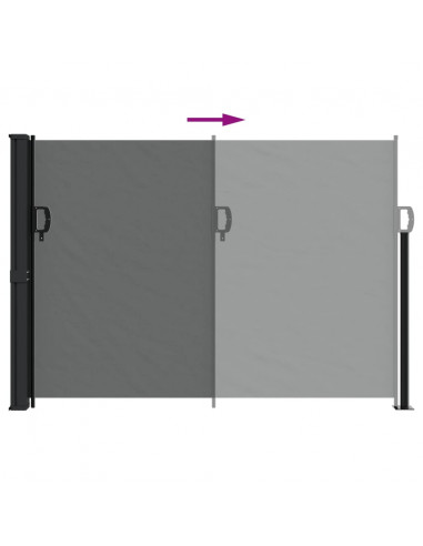 Tenda da Sole Laterale Retrattile Antracite 140x500 cm