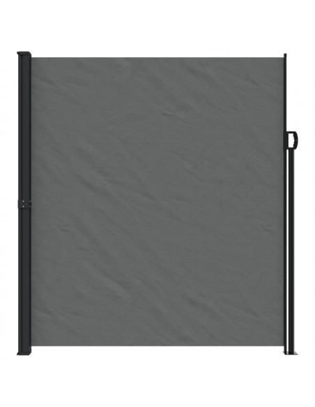Tenda da Sole Laterale Retrattile Antracite 220x600 cm