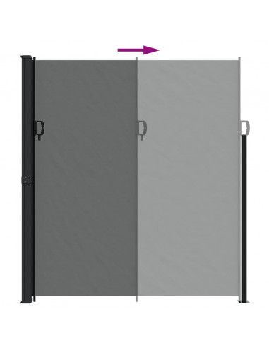 Tenda da Sole Laterale Retrattile Antracite 220x600 cm