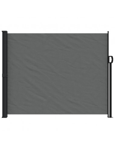 Tenda da Sole Laterale Retrattile Antracite 160x500 cm