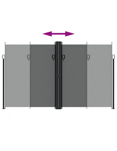 Tenda da Sole Laterale Retrattile Antracite 200x600 cm