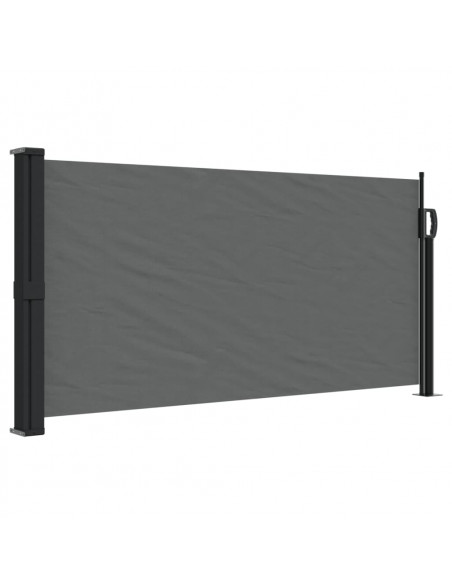 Tenda da Sole Laterale Retrattile Antracite 100x300 cm