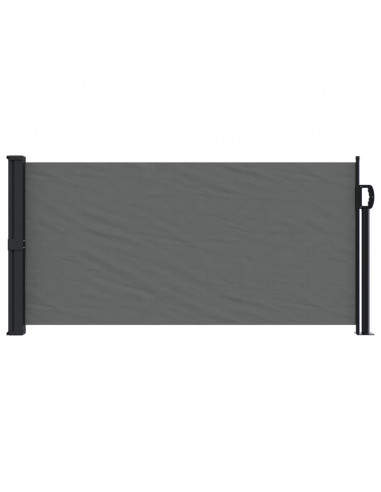 Tenda da Sole Laterale Retrattile Antracite 100x300 cm