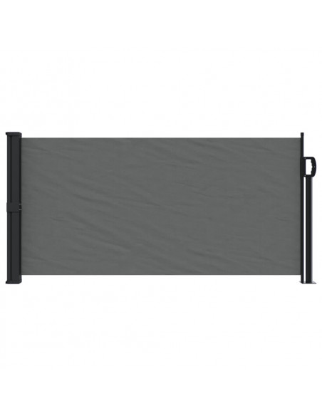 Tenda da Sole Laterale Retrattile Antracite 100x300 cm