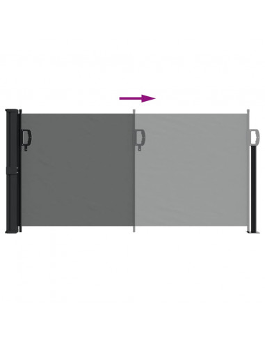 Tenda da Sole Laterale Retrattile Antracite 100x300 cm