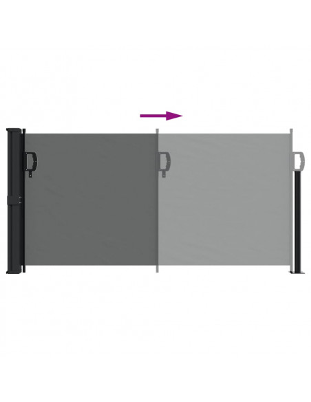 Tenda da Sole Laterale Retrattile Antracite 100x300 cm