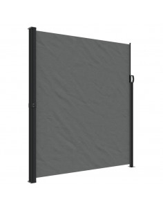 Tenda da Sole Laterale Retrattile Antracite 220x300 cm 2