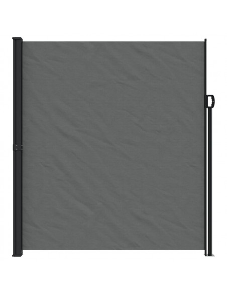 Tenda da Sole Laterale Retrattile Antracite 220x300 cm