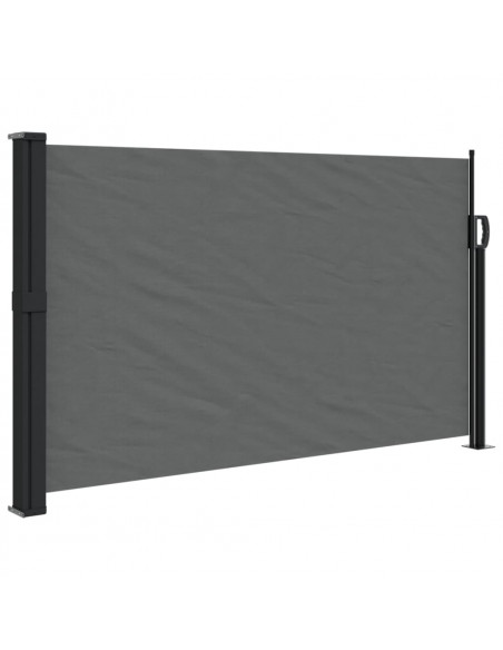 Tenda da Sole Laterale Retrattile Antracite 120x500 cm