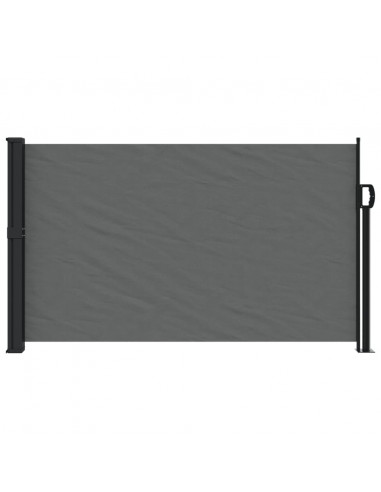 Tenda da Sole Laterale Retrattile Antracite 120x500 cm