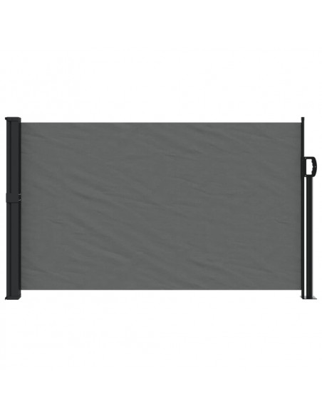 Tenda da Sole Laterale Retrattile Antracite 120x500 cm