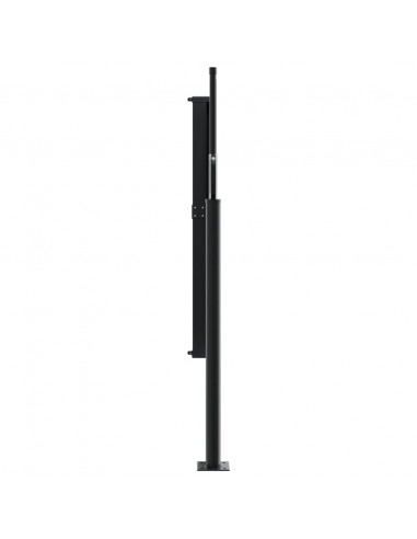 Tenda da Sole Laterale Retrattile Antracite 120x500 cm