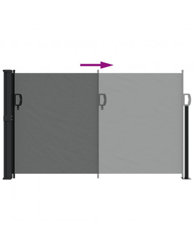 Tenda da Sole Laterale Retrattile Antracite 120x500 cm