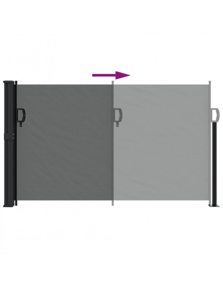 Tenda da Sole Laterale Retrattile Antracite 120x500 cm