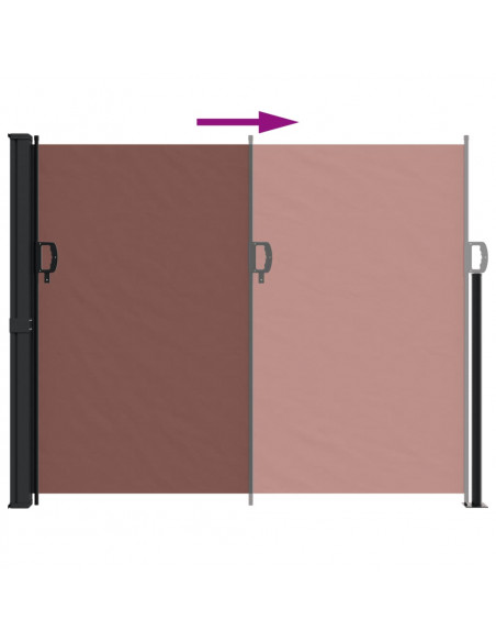 Tenda da Sole Laterale Retrattile Marrone 160x300 cm