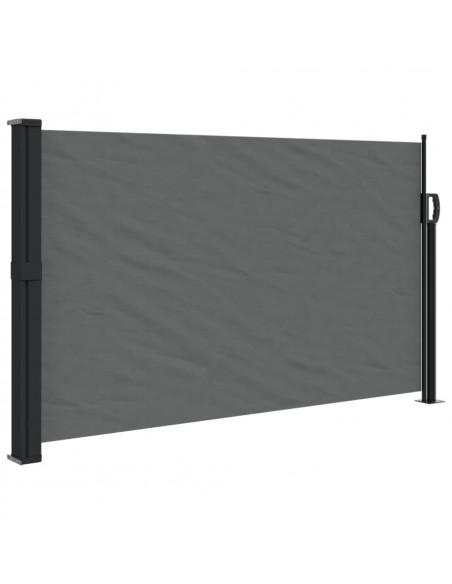 Tenda da Sole Laterale Retrattile Antracite 120x600 cm