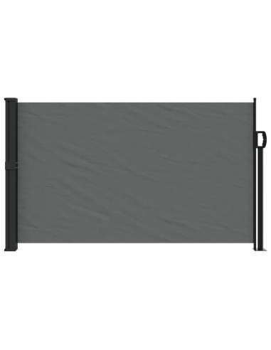 Tenda da Sole Laterale Retrattile Antracite 120x600 cm