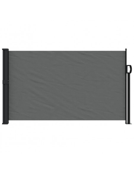 Tenda da Sole Laterale Retrattile Antracite 120x600 cm