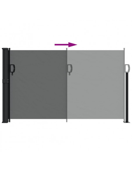 Tenda da Sole Laterale Retrattile Antracite 120x600 cm
