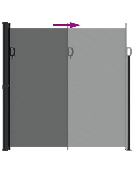 Tenda da Sole Laterale Retrattile Antracite 200x500 cm