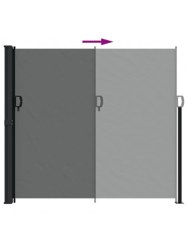 Tenda da Sole Laterale Retrattile Antracite 180x600 cm
