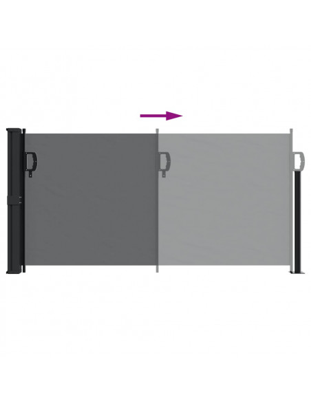 Tenda da Sole Laterale Retrattile Nera 100x300 cm