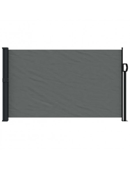 Tenda da Sole Laterale Retrattile Antracite 120x300 cm