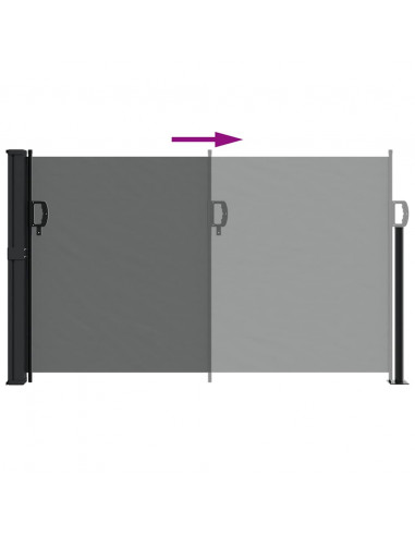 Tenda da Sole Laterale Retrattile Antracite 120x300 cm