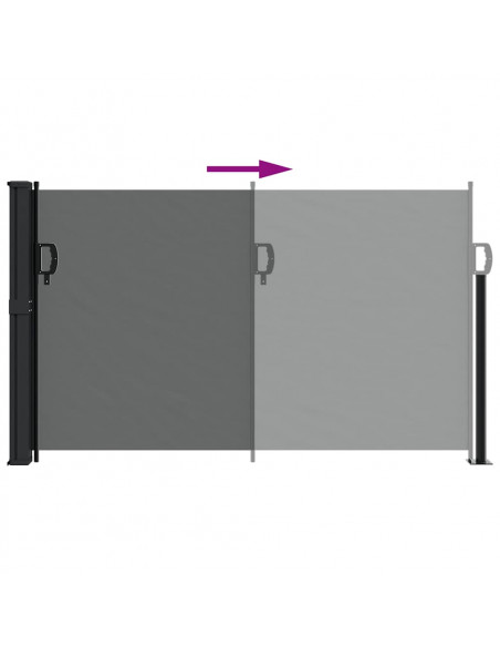 Tenda da Sole Laterale Retrattile Antracite 120x300 cm
