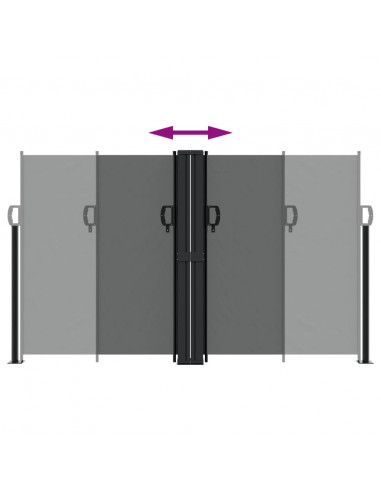Tenda da Sole Laterale Retrattile Antracite 140x600 cm