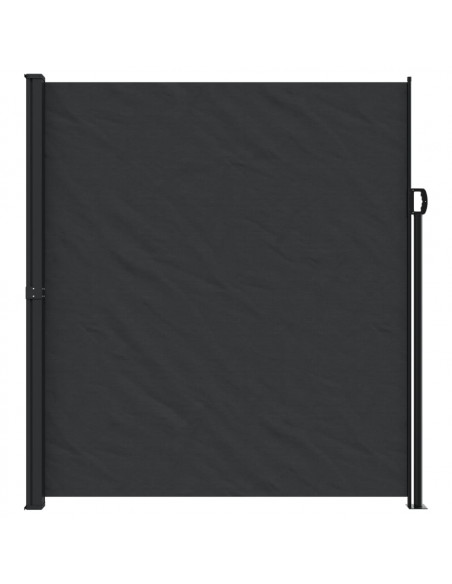 Tenda da Sole Laterale Retrattile Nera 220x300 cm
