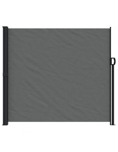 Tenda da Sole Laterale Retrattile Antracite 180x300 cm