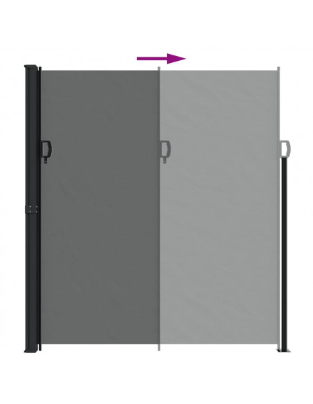 Tenda da Sole Laterale Retrattile Antracite 220x500 cm