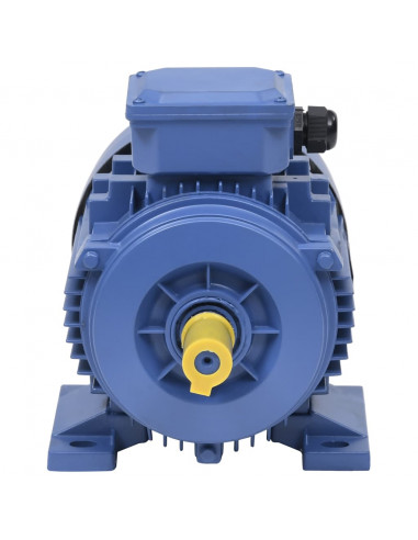 Motore Elettrico Trifase in Alluminio 1,5kW/2HP 2 Poli 2840 RPM