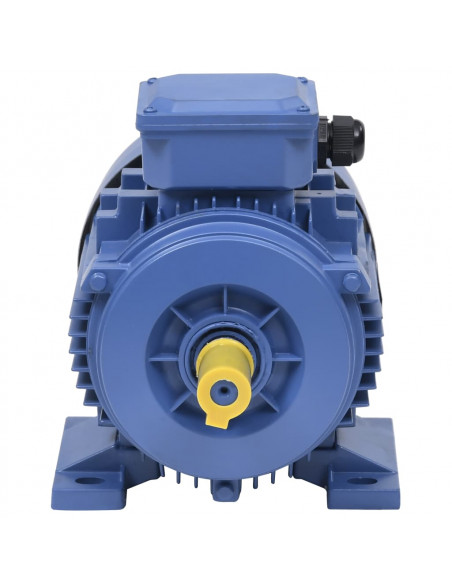 Motore Elettrico Trifase in Alluminio 1,5kW/2HP 2 Poli 2840 RPM