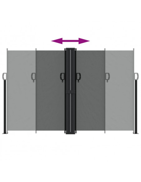 Tenda da Sole Laterale Retrattile Antracite 160x1200 cm