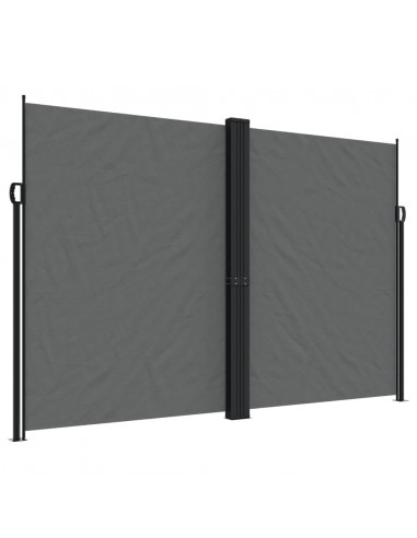 Tenda da Sole Laterale Retrattile Antracite 220x1000 cm