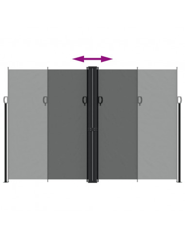 Tenda da Sole Laterale Retrattile Antracite 220x1000 cm