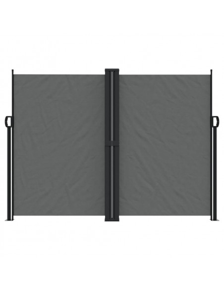 Tenda da Sole Laterale Retrattile Antracite 180x1000 cm