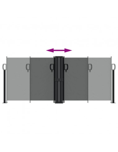 Tenda da Sole Laterale Retrattile Antracite 100x1000 cm