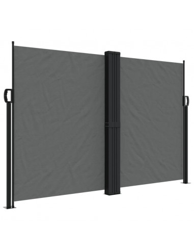 Tenda da Sole Laterale Retrattile Antracite 160x1000 cm