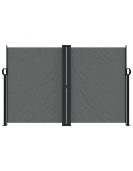 Tenda da Sole Laterale Retrattile Antracite 160x1000 cm